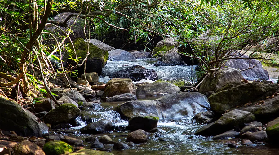 Meenvallam Waterfalls